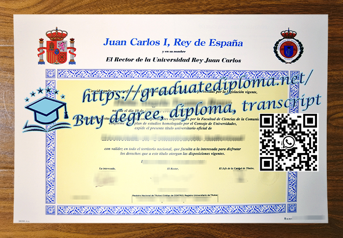 Universidad Rey Juan Carlos diploma