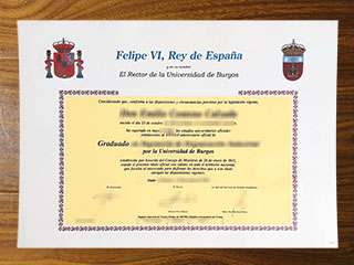 Universidad de Burgos degree