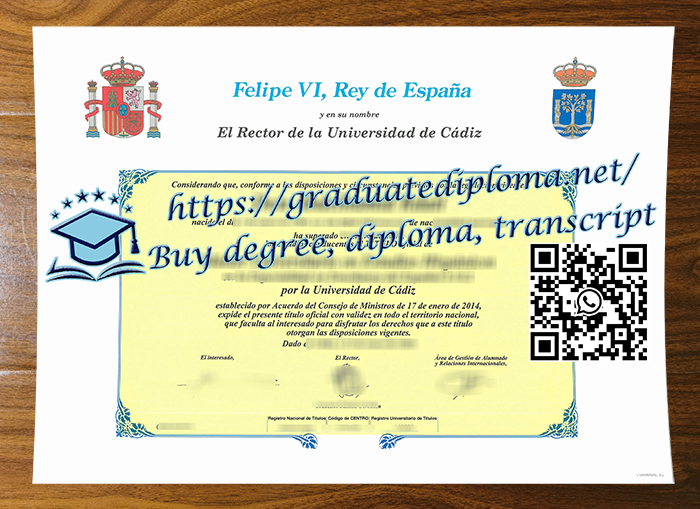 Universidad de Cádiz degree