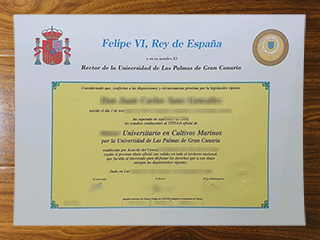Universidad de Las Palmas de Gran Canaria degree