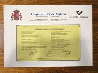 Universidad del País Vasco degree