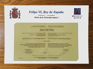 Universitat Jaume I degree