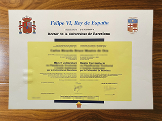 Universitat de Barcelona degree