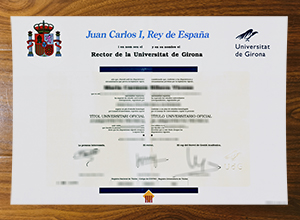 Universitat de Girona degree