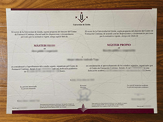 Universitat de Lleida degree