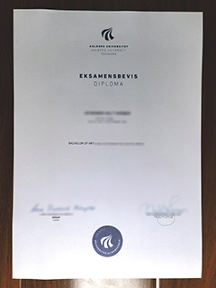 Aalborg Universitet diploma