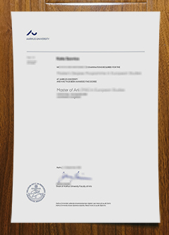Aarhus Universitet diploma