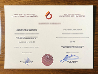 Cyprus International University diploma