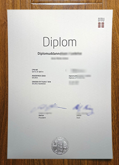 Danmarks Tekniske Universitet degree