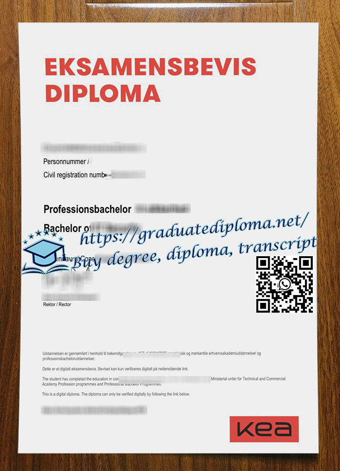 Københavns Erhvervsakademi degree