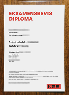 Københavns Erhvervsakademi diploma