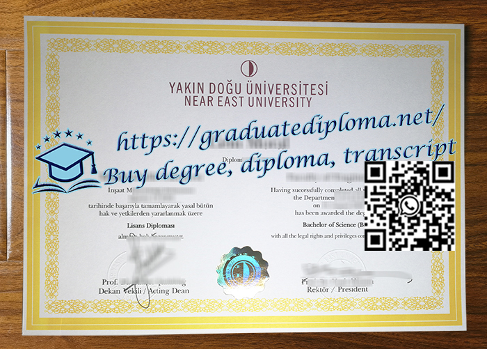 Near-East-University-degree