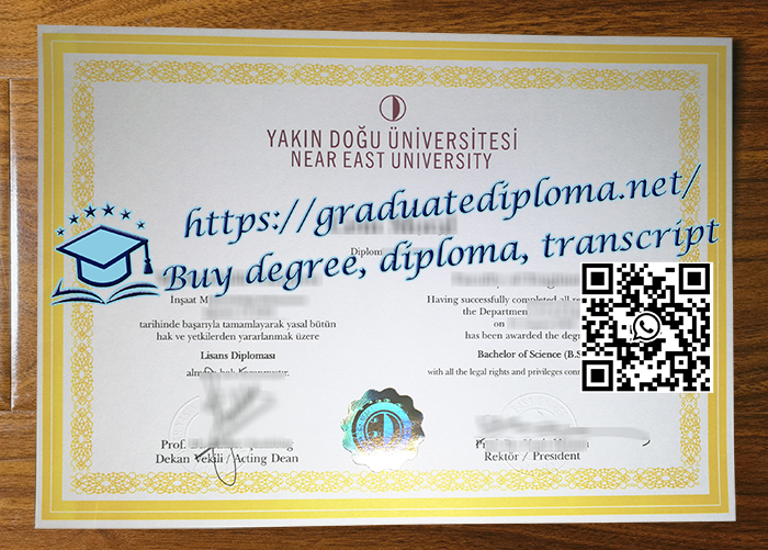 Near East University degree