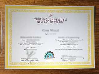 Near East University diploma