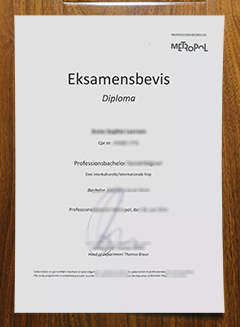 Professionshøjskolen Metropol diploma