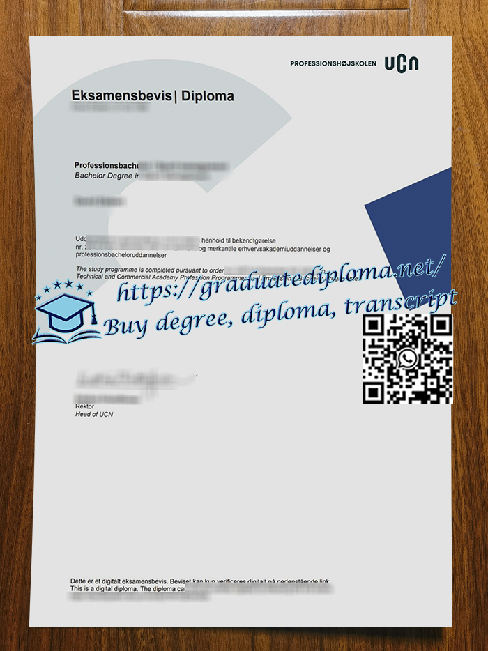 Professionshojskolen-UCN-degree
