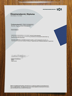 Professionshøjskolen UCN diploma