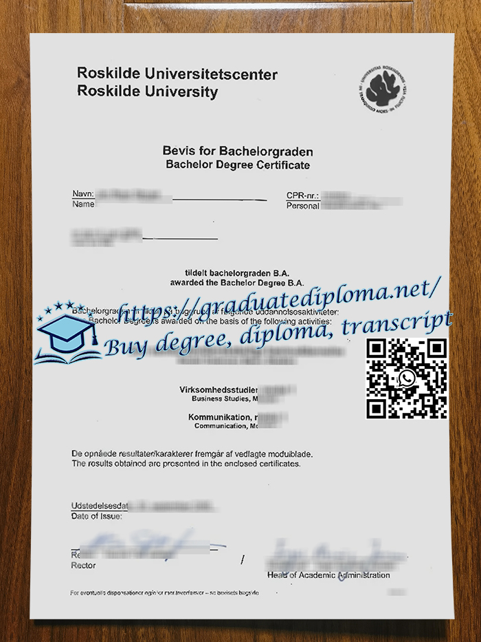 Roskilde University degree