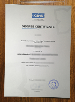 South-Eastern Finland University of Applied Sciences diploma