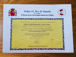 Universidad Nebrija diploma