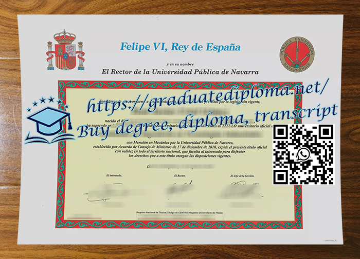 Universidad Pública de Navarra degree