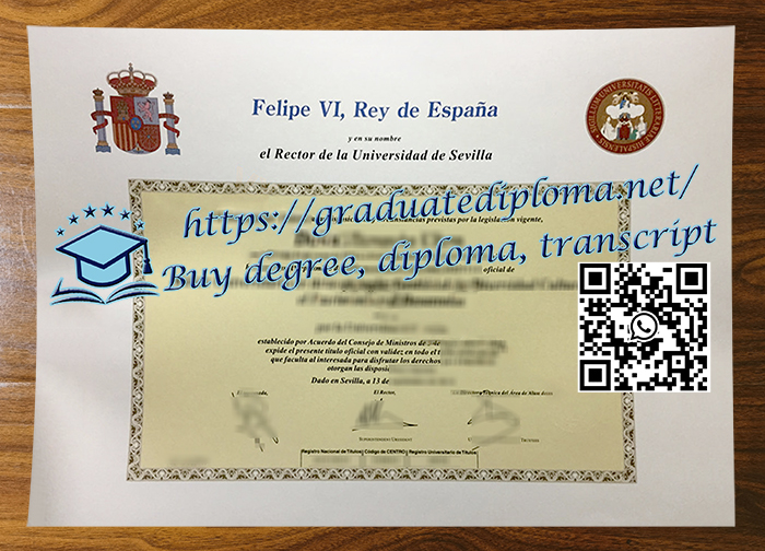 Universidad de Sevilla degree