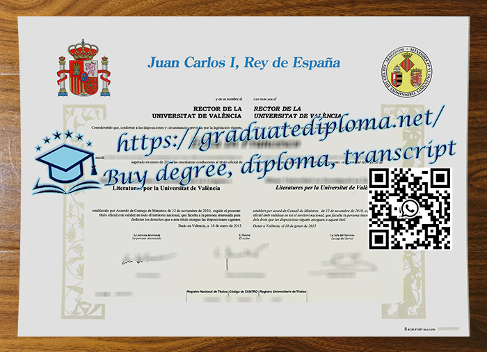Universidad de Valencia degree