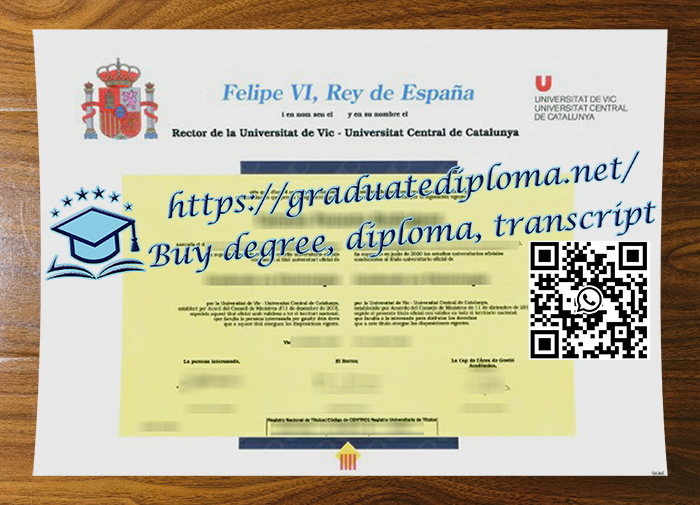 Universidad de Vic-Universidad Central de Catalunya degree