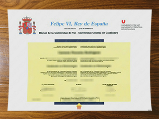 Universidad de Vic-Universidad Central de Catalunya diploma