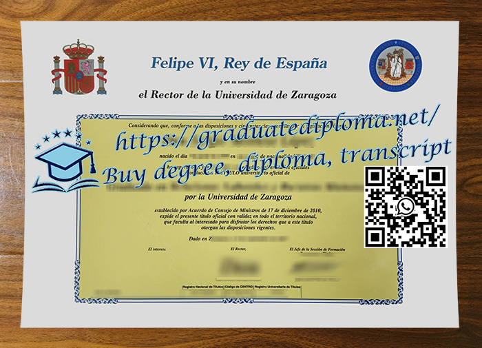 Universidad de Zaragoza degree