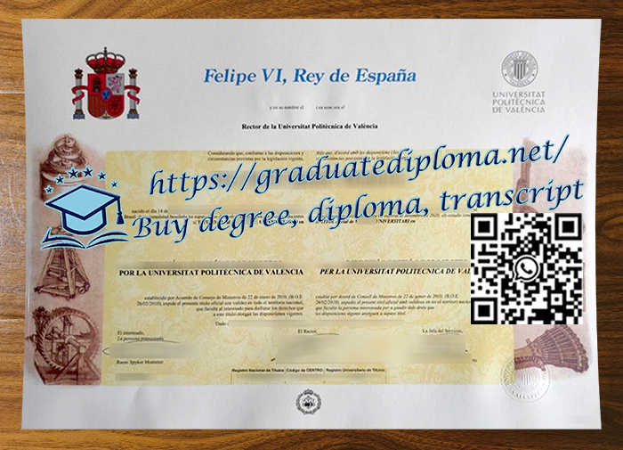 Universitat-Politecnica-de-Valencia-degree