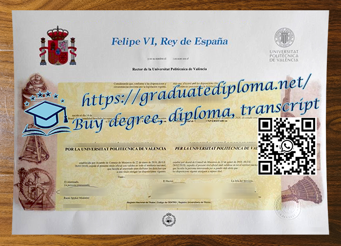 Universitat Politècnica de València degree