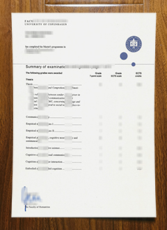 University of Copenhagen transcript