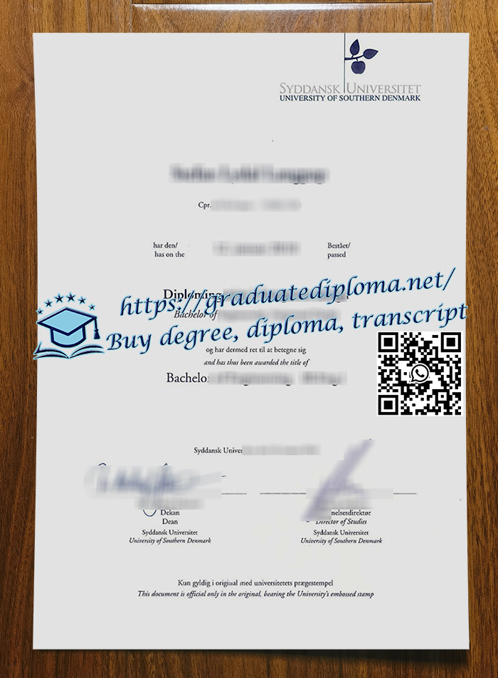University of Southern Denmark degree
