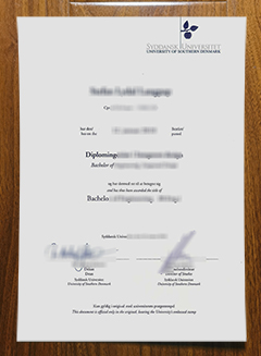 University of Southern Denmark diploma