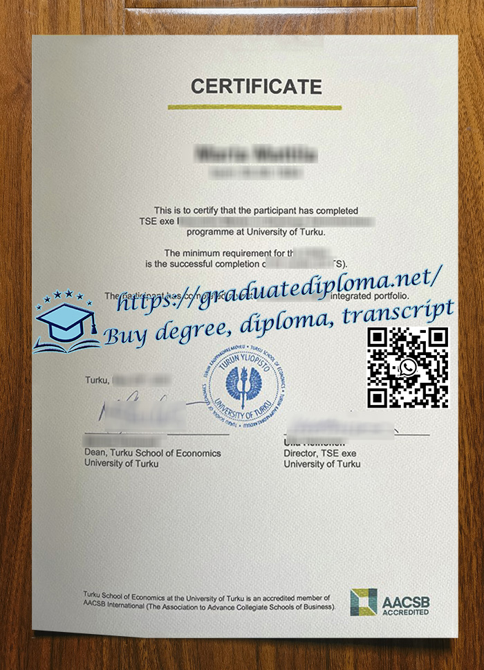 University of Turku degree