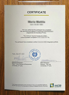 University of Turku diploma