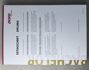 Avans Hogeschool diploma