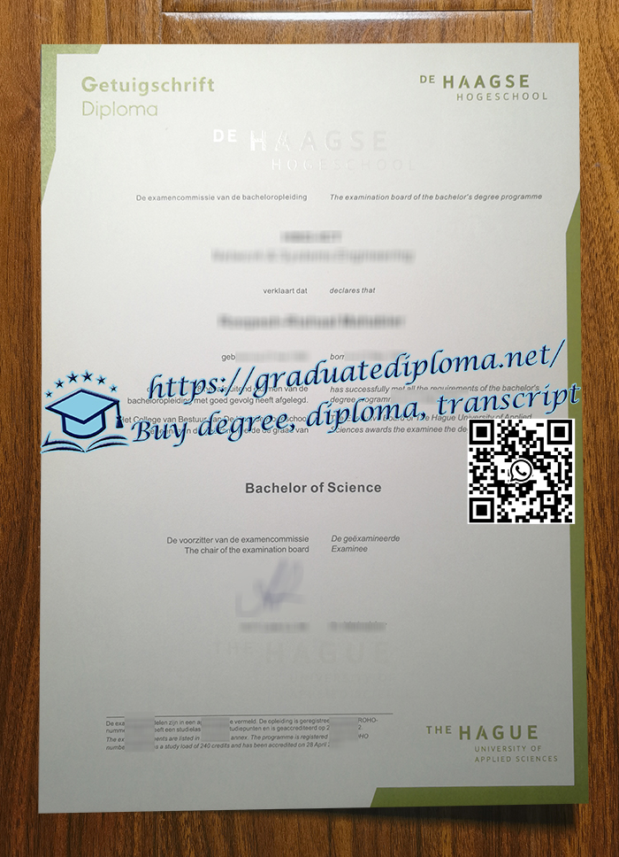 De Haagse Hogeschool degree