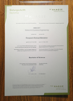 De Haagse Hogeschool diploma