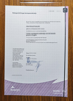 Fontys Hogeschool diploma