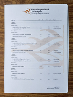 Hanze UAS transcript