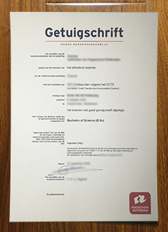 Hogeschool Rotterdam diploma