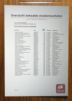 Hogeschool Rotterdam transcript