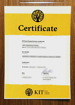 KIT Royal Tropical Institute certificate
