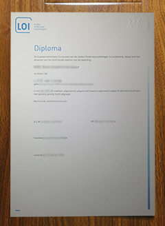 Leidse Onderwijsinstellingen diploma