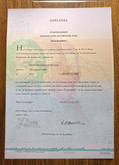 NT2 diploma