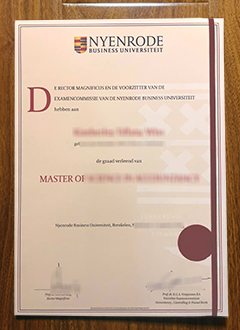 Nyenrode Business Universiteit diploma