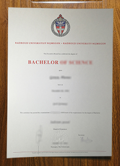 Radboud Universiteit Nijmegen diploma