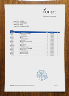 TU Delft transcript
